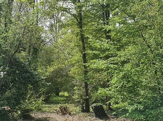 Bed and Breakfast Pres Du Circuit 3*